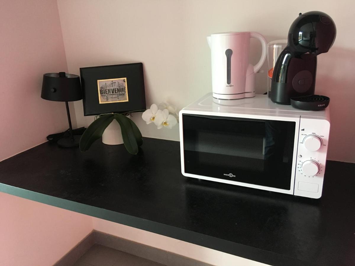 Petit Studio Dans Villa Bord De Lac 艾克斯莱班 外观 照片