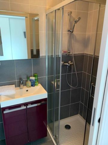 Petit Studio Dans Villa Bord De Lac 艾克斯莱班 外观 照片